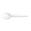 DIXIE FOOD SERVICE Plastic Cutlery, Heavy Mediumweight Soup Spoon, 100-Pieces/Box
