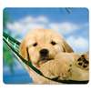 FELLOWES MFG. CO. Recycled Mouse Pad, Nonskid Base, 7 1/2 x 9, Puppy in Hammock
