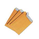 QUALITY PARK PRODUCTS Redi-Strip Catalog Envelope, 6 x 9, Brown Kraft, 100/Box