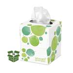 Seventh Generation 13719CT 100% Recycled Facial Tissue, 2-Ply, 85/Box, 36/Carton