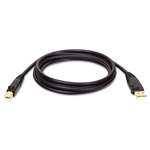 TRIPPLITE USB 2.0 Gold Cable, 10 ft, Black